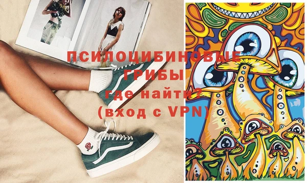 герыч Мегион