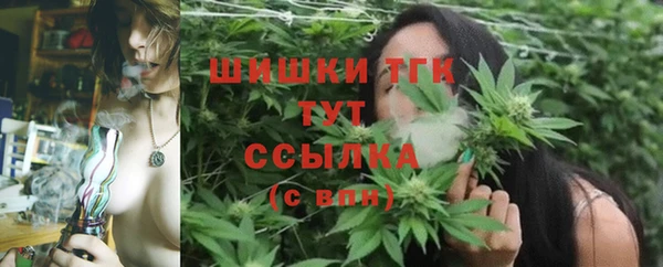 герыч Мегион