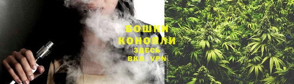 дмт Медногорск