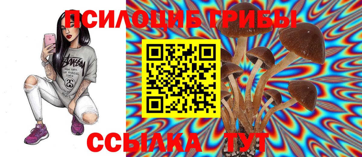 Галлюциногенные грибы Psilocybine cubensis  Вход с VPN  Псилоцибиновые грибы Psilocybine cubensis  Краснокамск 