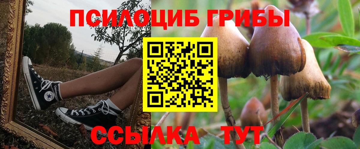 Псилоцибиновые грибы мухоморы  Галлюциногенные грибы GOLDEN TEACHER  Краснокамск 